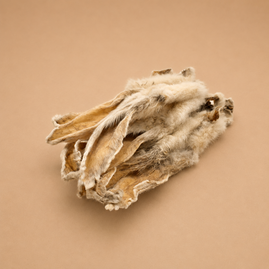 Oreilles de lapin en poils pour costume ou déguisement, marque Woof'Eat, montrant la texture douce et réaliste des oreilles.