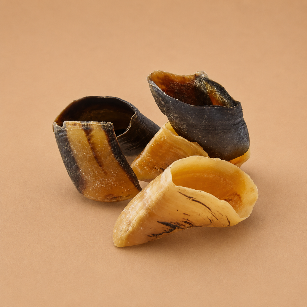 Sabots de bœuf Grande Taille de la marque Woof'Eat, en bois ou en caoutchouc, pour chien, visibles en image.