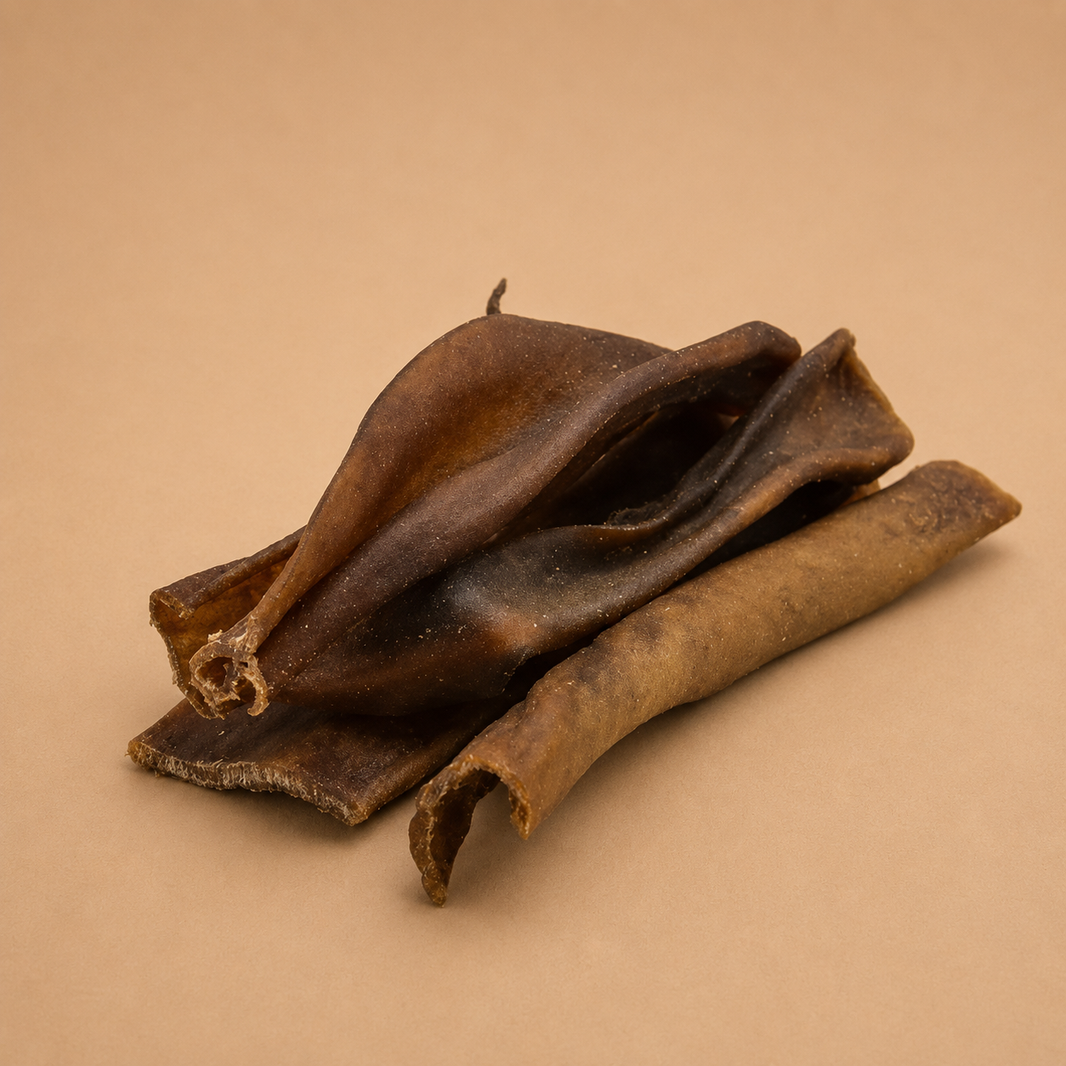 Sachet 100g - Peau de chameau (~4 unités)