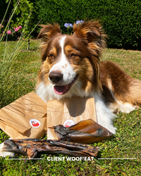 Box personnalisable Woof'eat