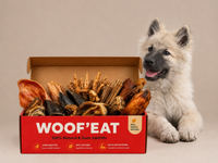 Box chiots Woof'eat