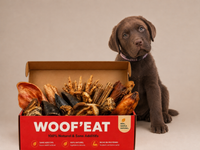 Box chiots Woof'eat