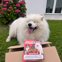 Box personnalisable Woof'eat