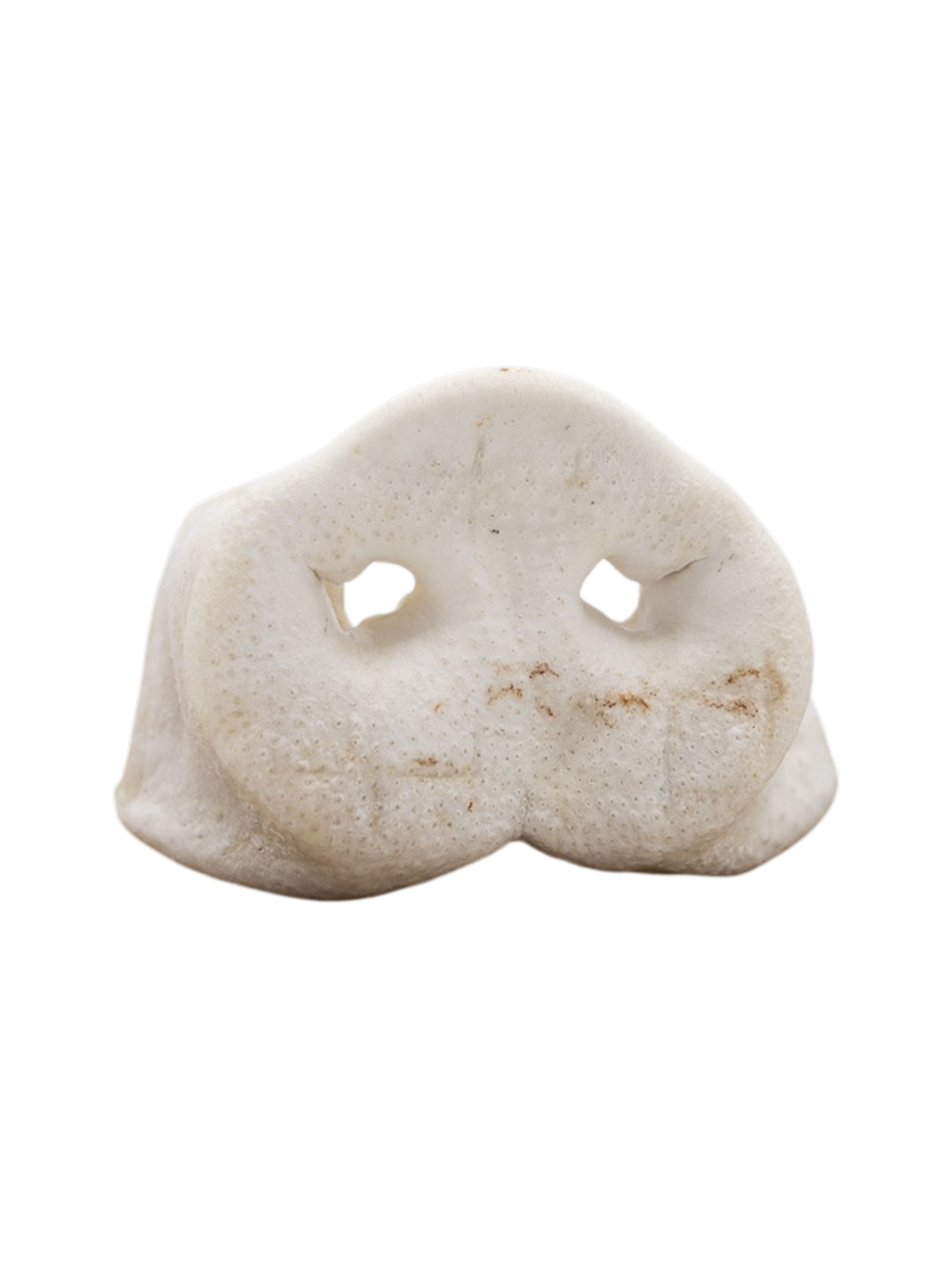 Groin de porc Woof'Eat, viande fraîche sous vide, montrant la coupe de viande de porc dans un emballage transparent.